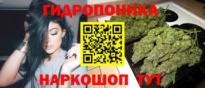 молекула духа Будённовск