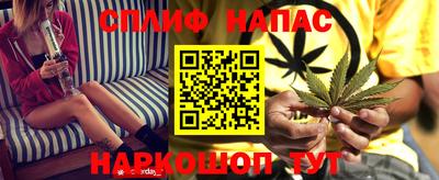молекула духа Будённовск