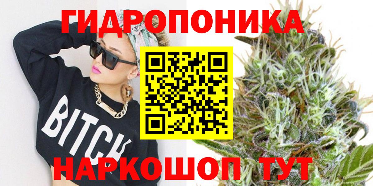Канабис ГИДРОПОН Тельмана